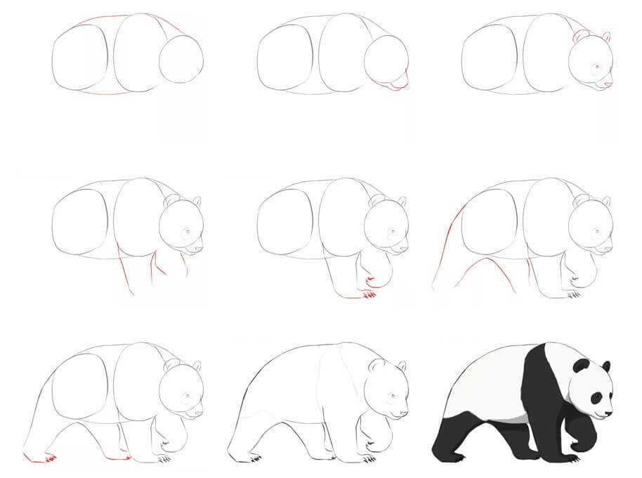 Jak Narysować Panda z Liściem