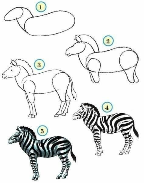 Jak Narysować Śmieszna Zebra