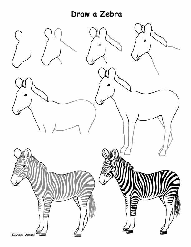 Jak Narysować Szczęśliwa Zebra