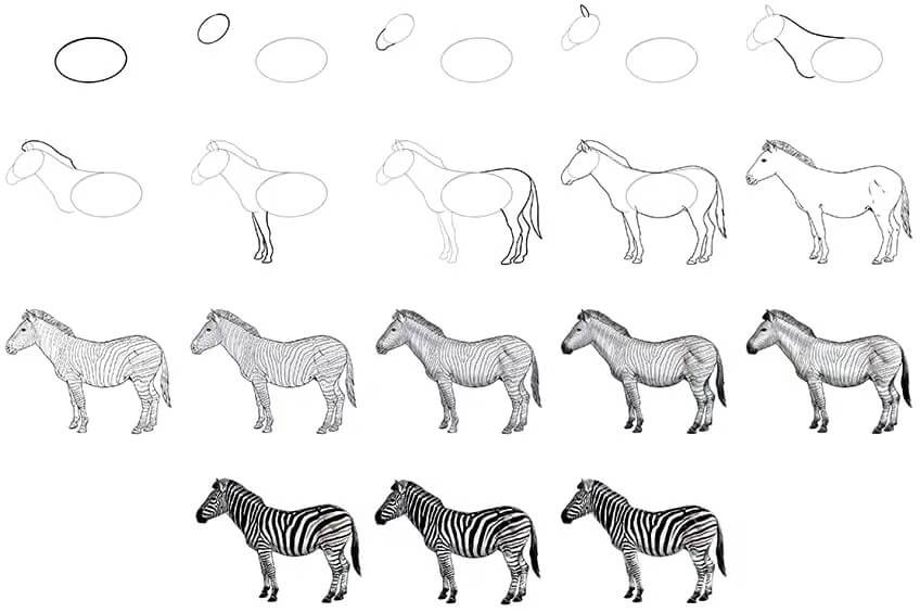 Jak Narysować Zebra z Kwiatkiem