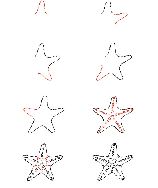 Jak Narysować Pomarańczowa rozgwiazda