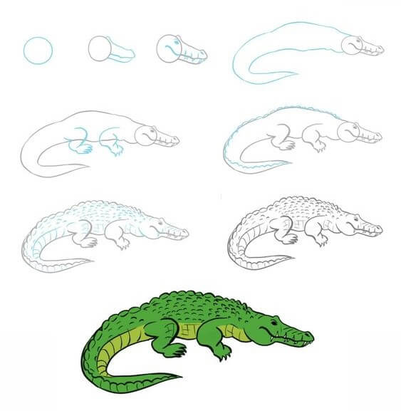 Jak Narysować Aligator dziki