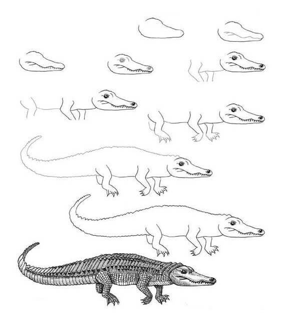 Jak Narysować Aligator nurkujący
