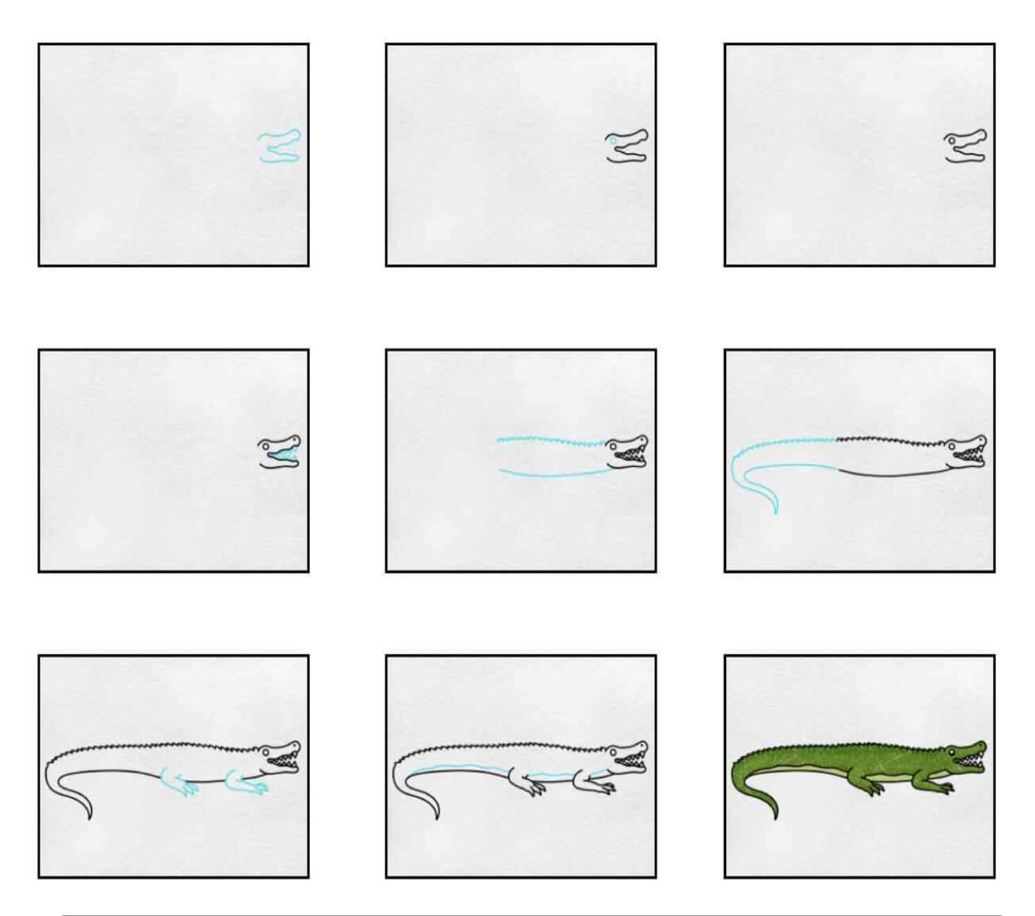 Jak Narysować Aligator odpoczywający