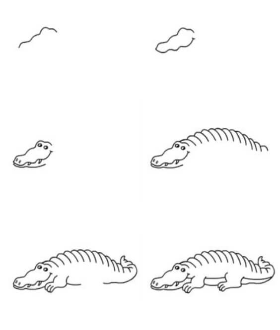 Jak Narysować Aligator spokojny