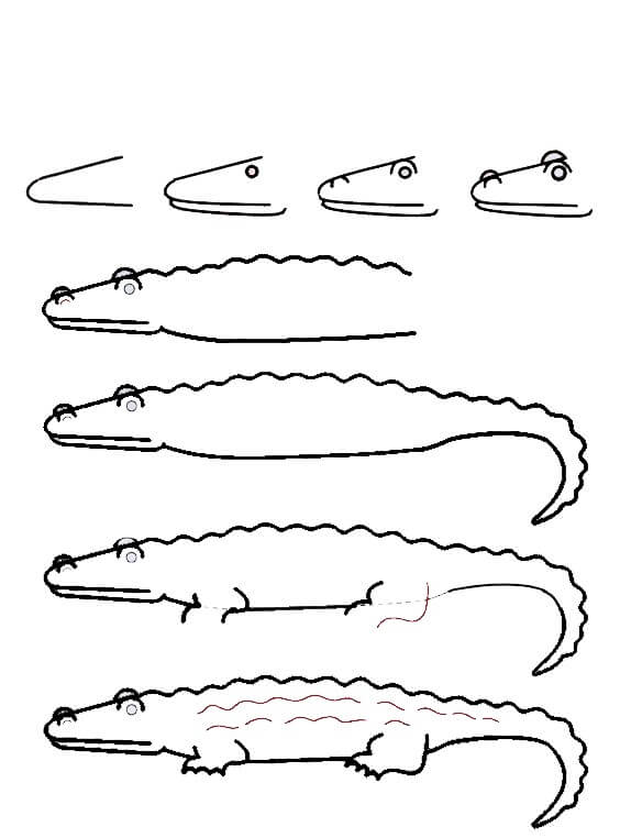 Jak Narysować Aligator w dzikiej naturze