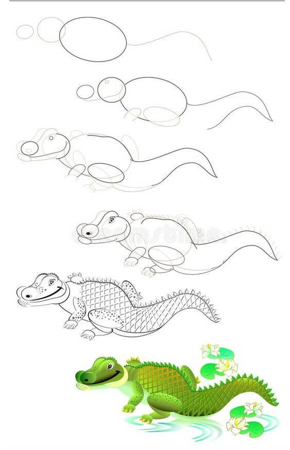 Jak Narysować Aligator z długim ogonem