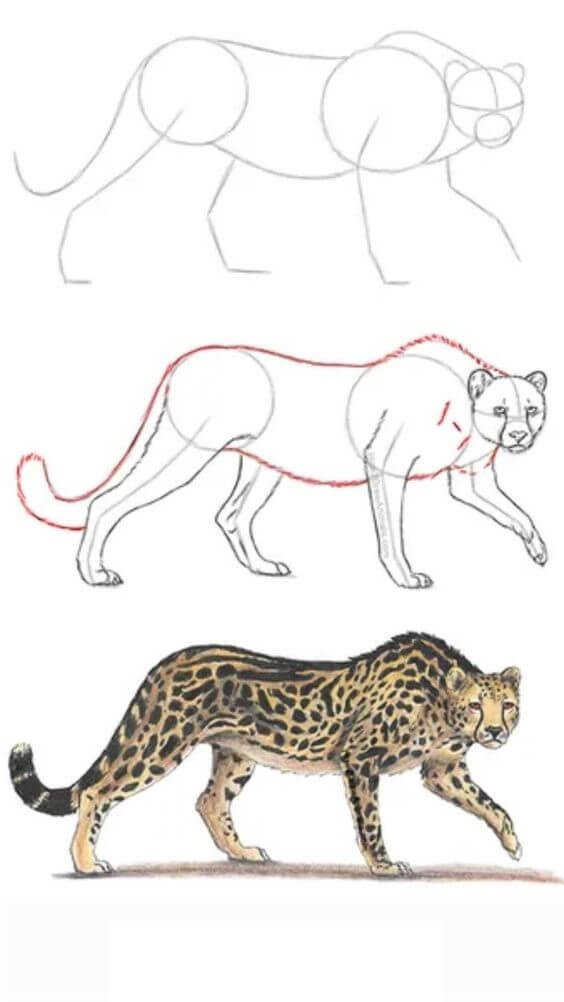 Jak Narysować Gepard na skalistym terenie