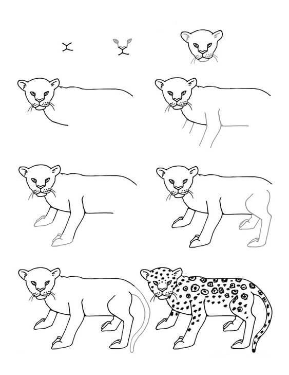 Jak Narysować Gepard szybki
