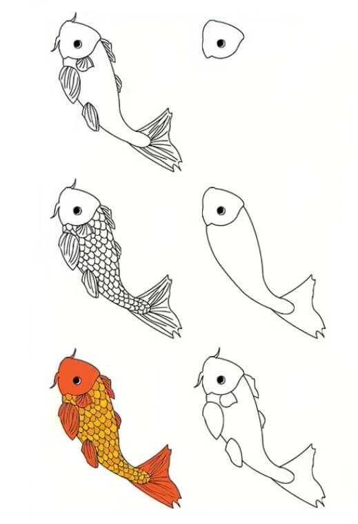 Jak Narysować Karp koi w wodzie