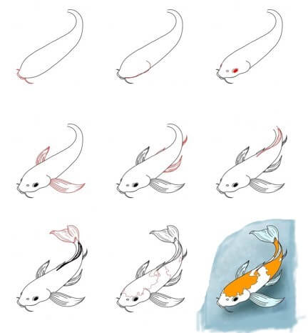 Jak Narysować Karp koi wśród lilii