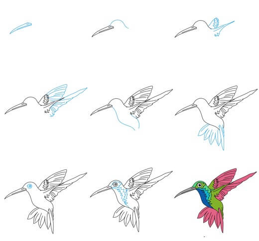 Jak Narysować Kolibry