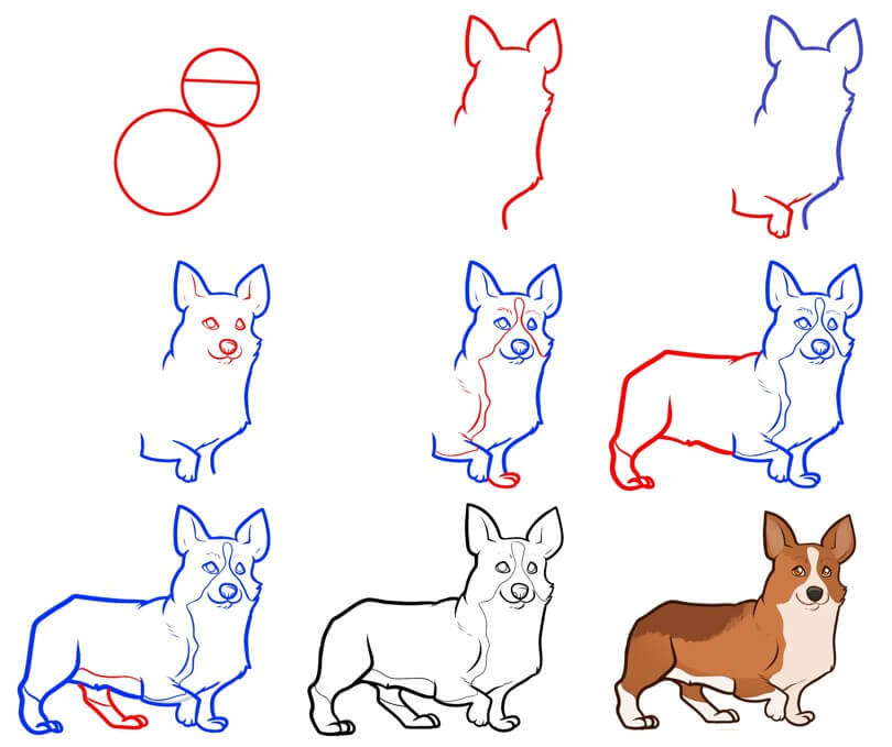 Jak Narysować Grzeczny corgi
