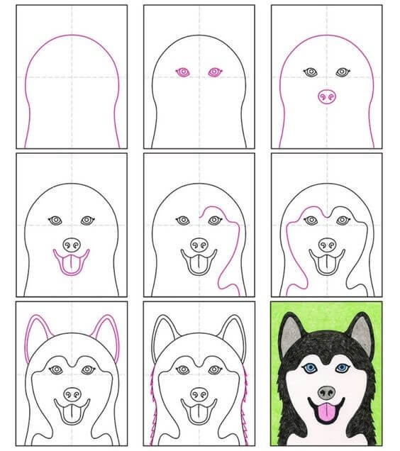 Jak Narysować Husky w lesie