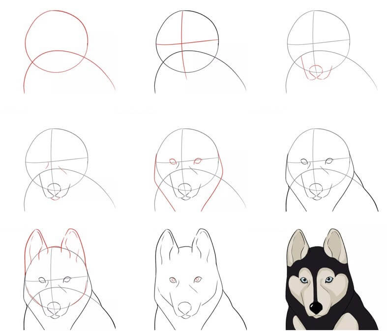 Jak Narysować Husky wśród drzew