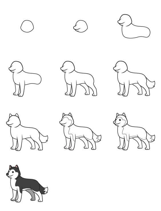 Jak Narysować Husky z puszystą sierścią