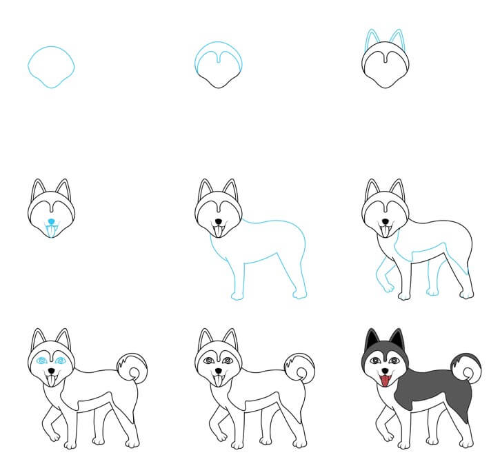 Jak Narysować Husky z uniesionymi uszami