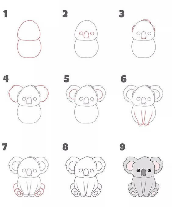 Jak Narysować Koala puszysty