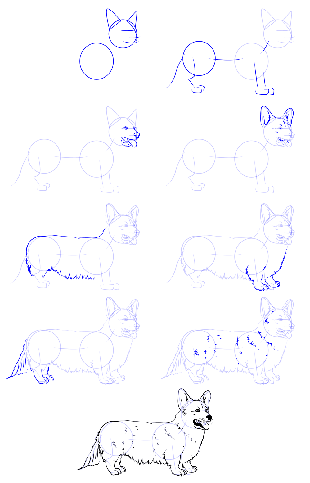 Jak Narysować Leniwy corgi