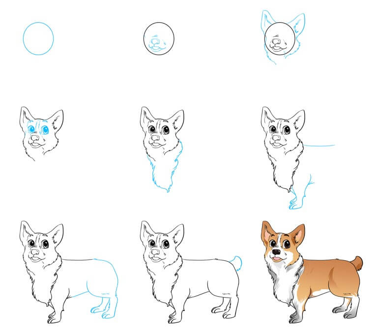 Jak Narysować Odważny corgi