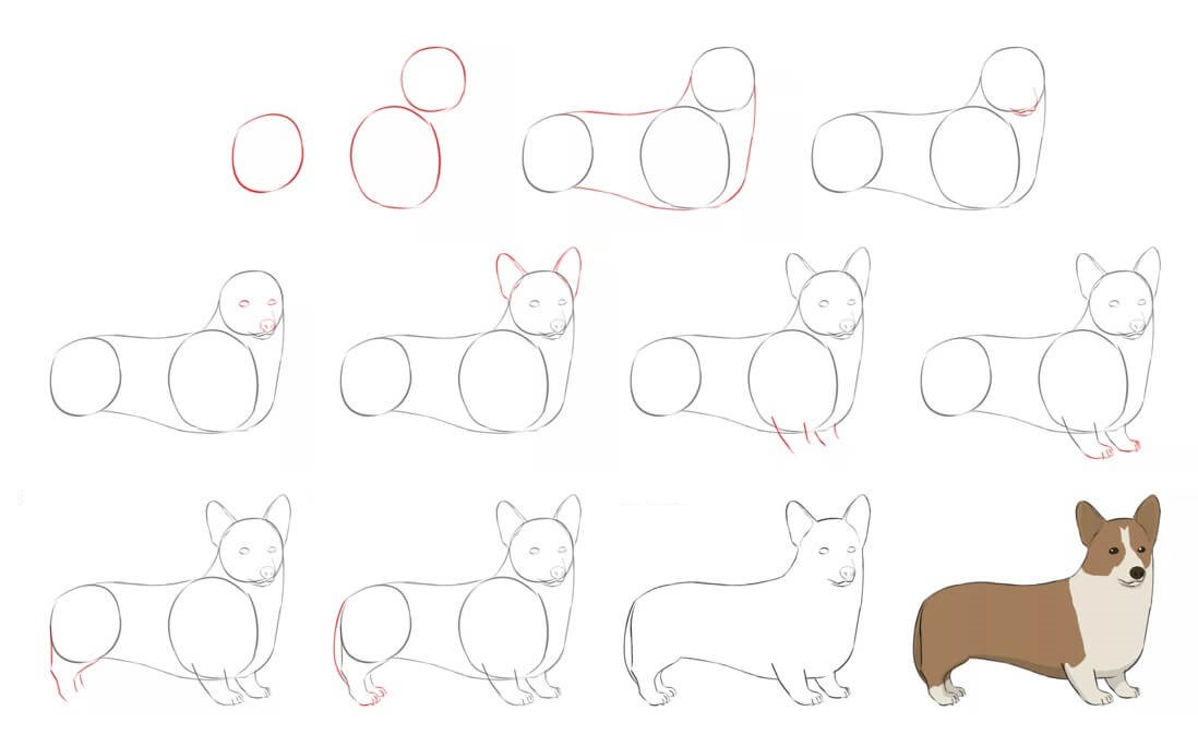 Jak Narysować Psotny corgi